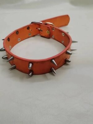 Pet collar