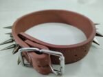 High-end cowhide pet collar