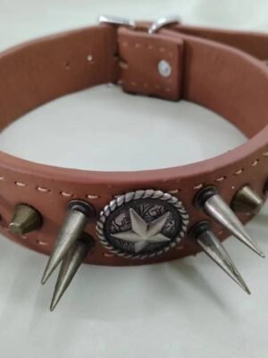 High-end cowhide pet collar