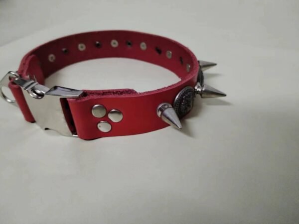 Hound fighting cowhide collar