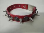 Hound fighting cowhide collar