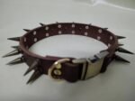 Hound battle collar