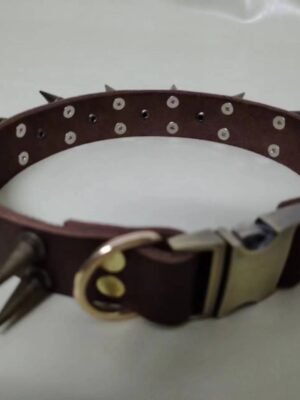 Hound battle collar