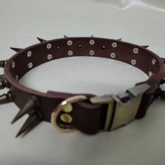 Hound battle collar