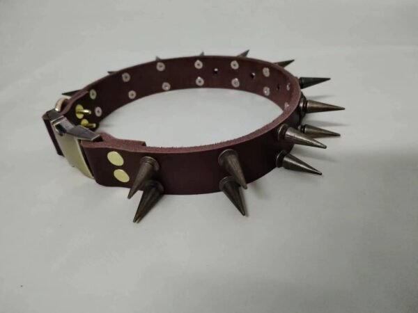 Hound battle collar